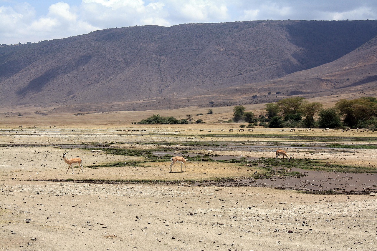 05 Days Serengeti Ngoro Ngoro Lake Manyara